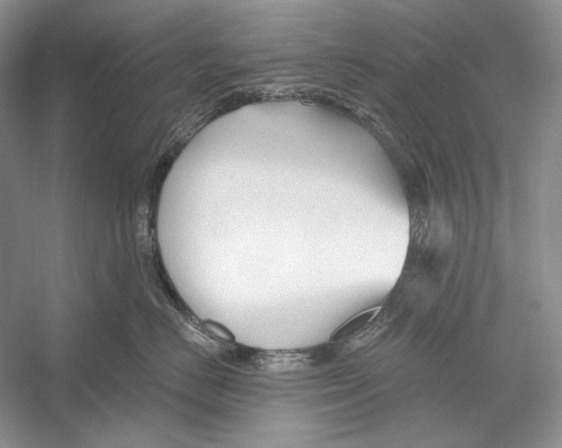 X0000052960670200508050950