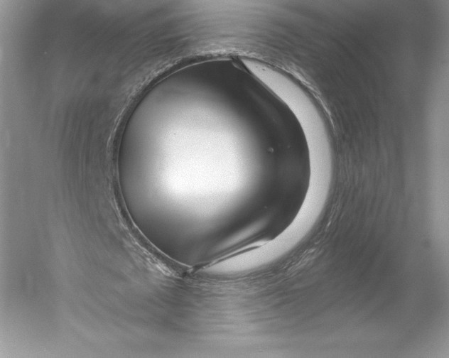 X0000052960673200508050949