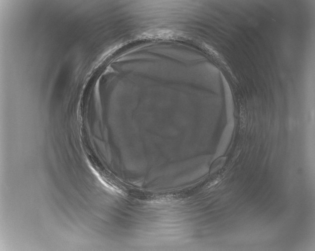 X0000052960674200508050949