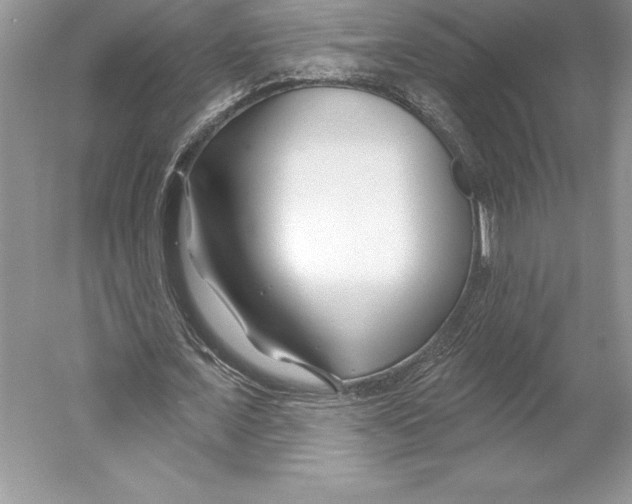 X0000052960675200508050949