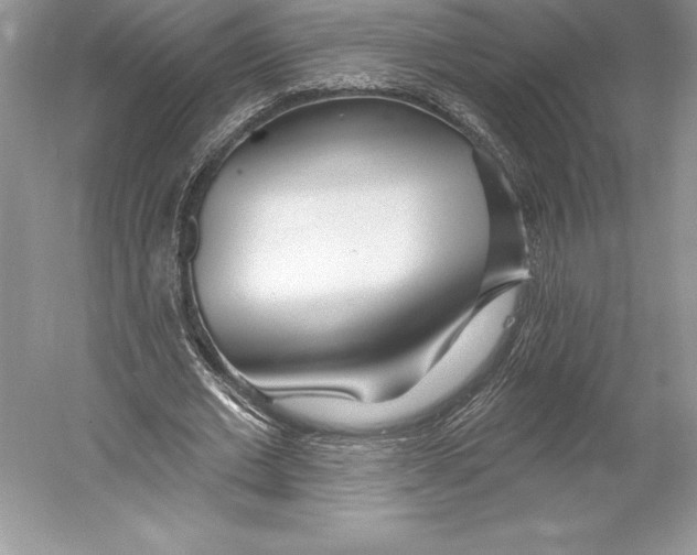 X0000052960677200508050949