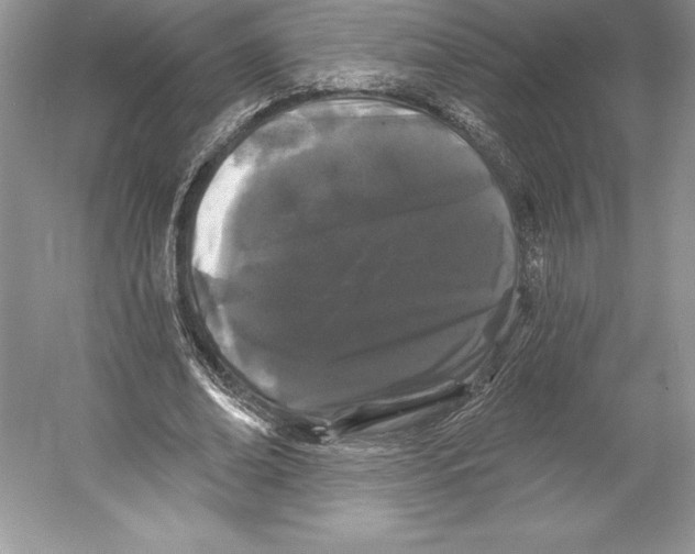X0000052960678200508050949