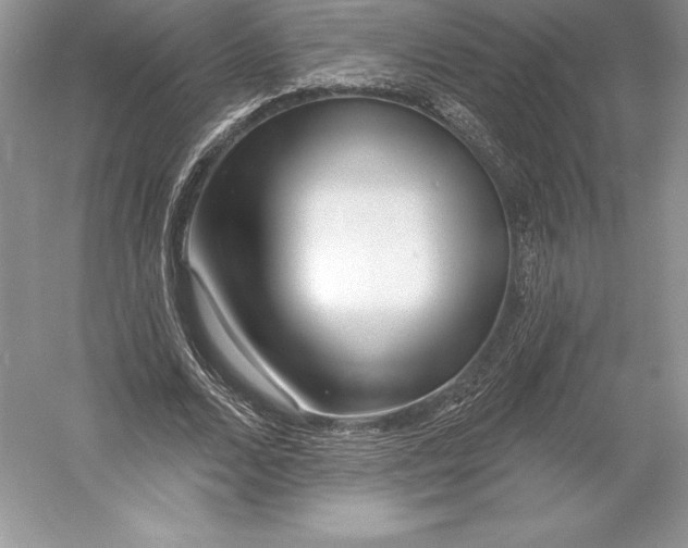 X0000052960680200508050949