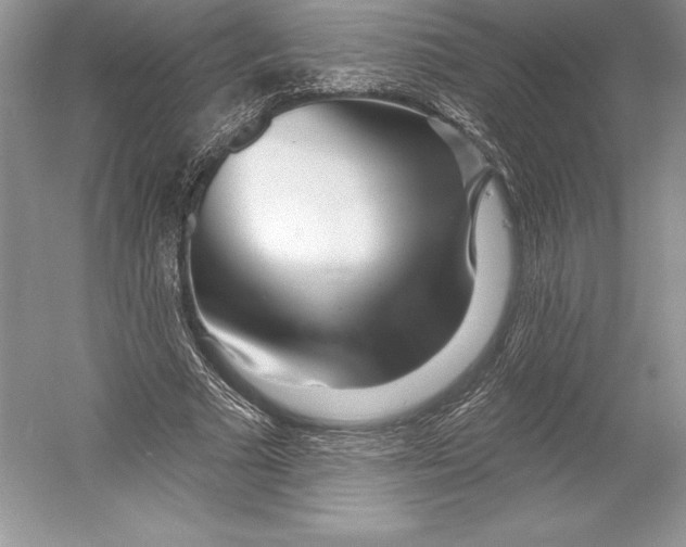 X0000052960681200508050949
