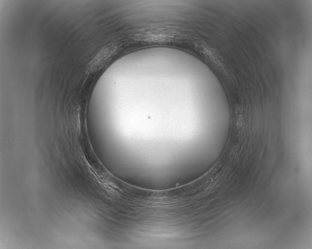 X0000052960685200508050949