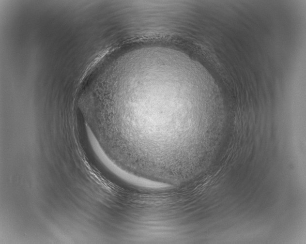 X0000052960688200508050949