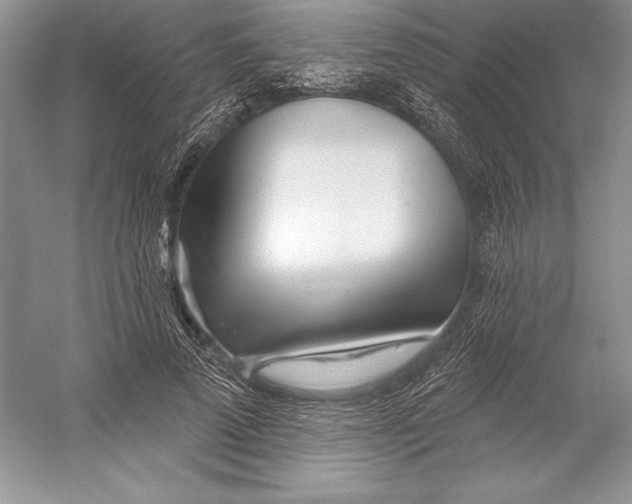 X0000052960689200508050949