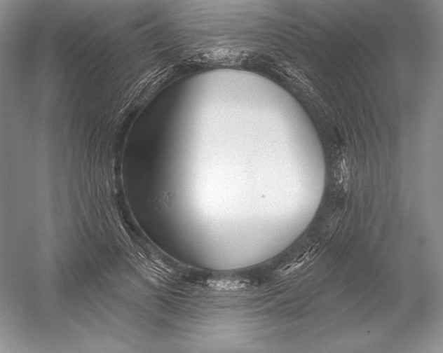 X0000052960693200508050949