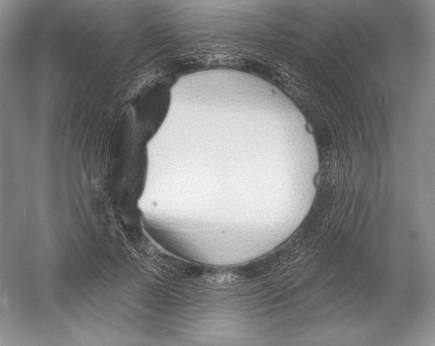 X0000052960695200508050949