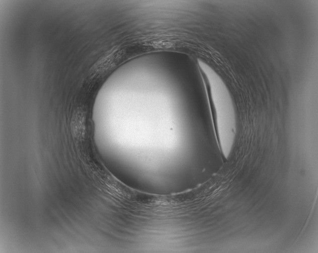 X0000052960697200508050949