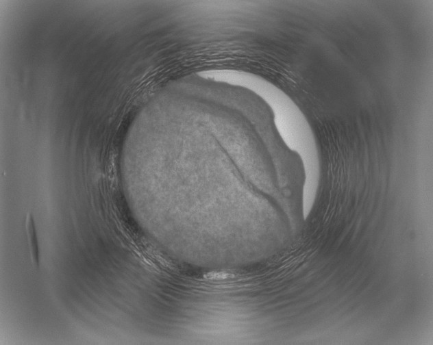 X0000052960699200508050948
