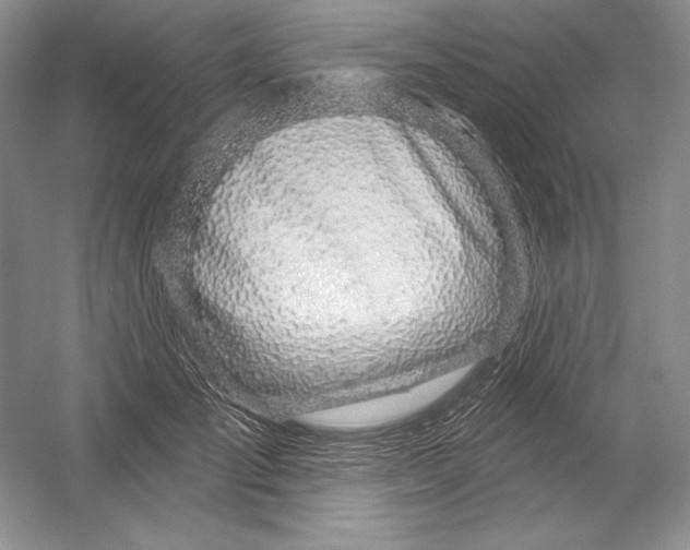 X0000052960701200508050948