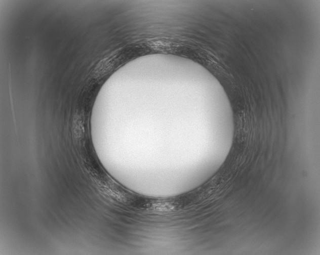 X0000052960702200508050948