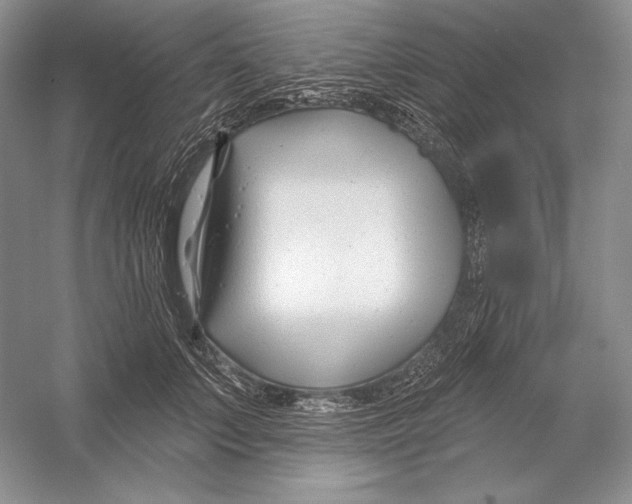 X0000052960703200508050948