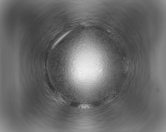 X0000052960704200508050948