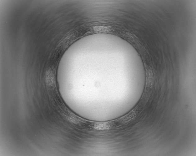 X0000052960705200508050948