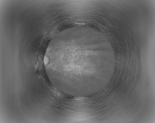 X0000052960707200508050948
