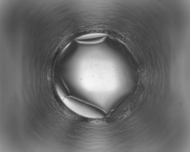 X0000052960708200508050948