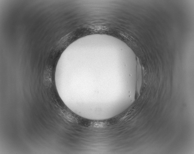 X0000052960710200508050948
