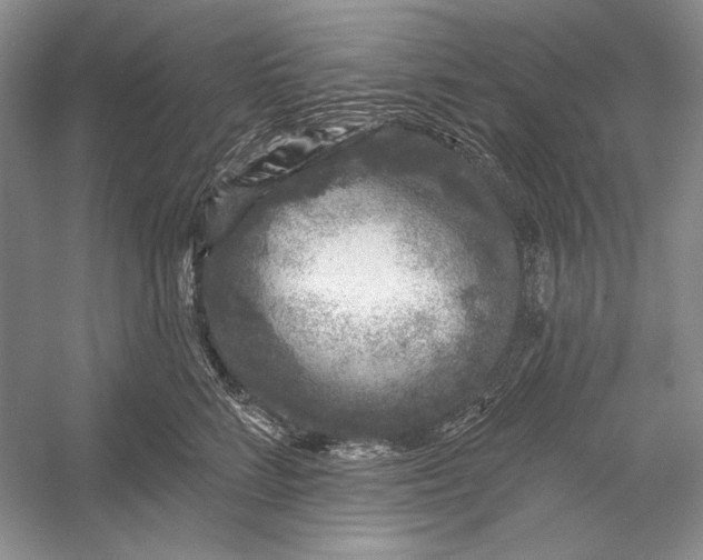 X0000052960712200508050948