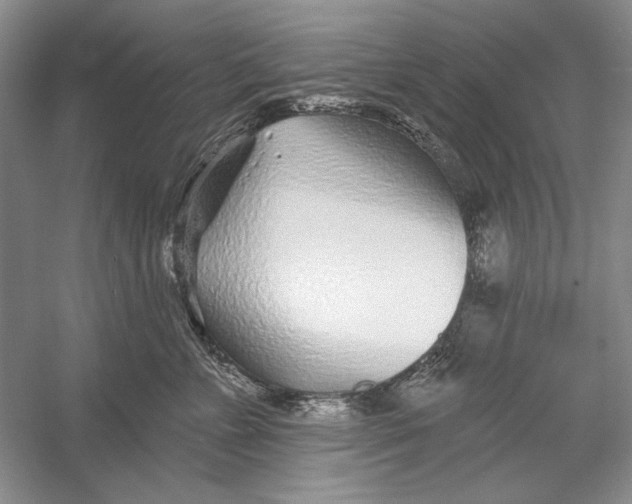 X0000052960715200508050948