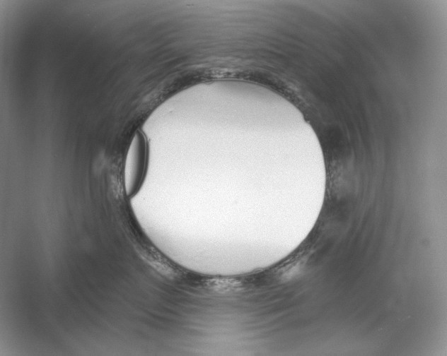X0000052960719200508050948