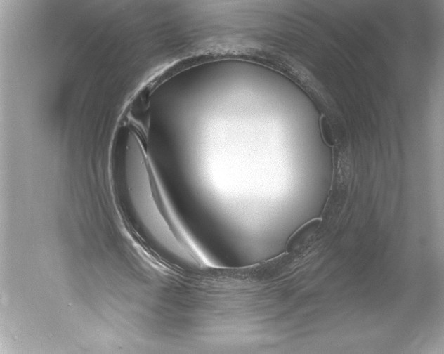 X0000052960722200508050947
