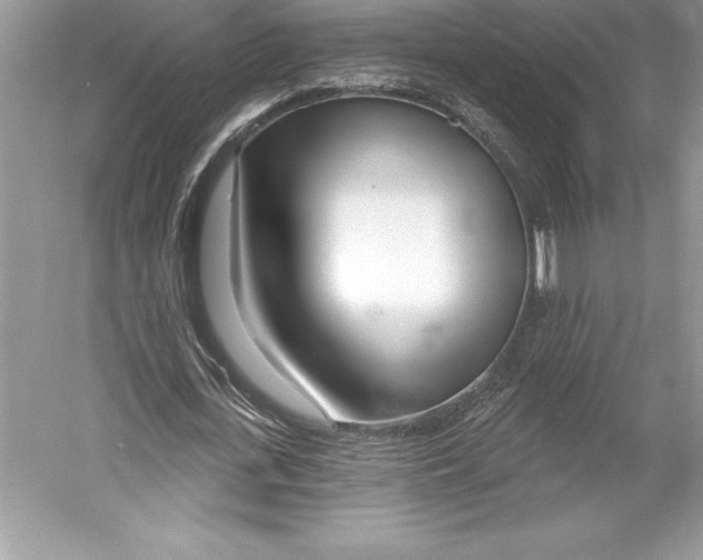 X0000052960723200508050947