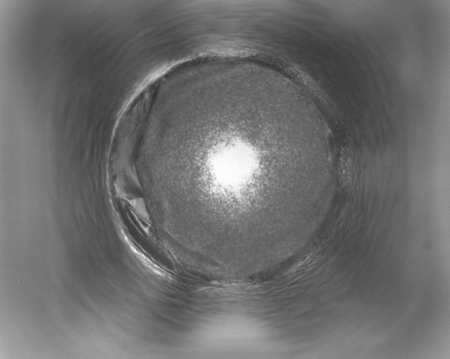 X0000052960726200508050947