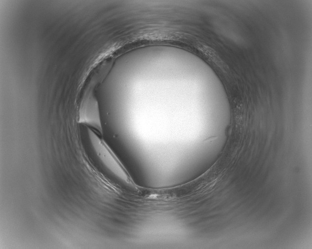 X0000052960727200508050947