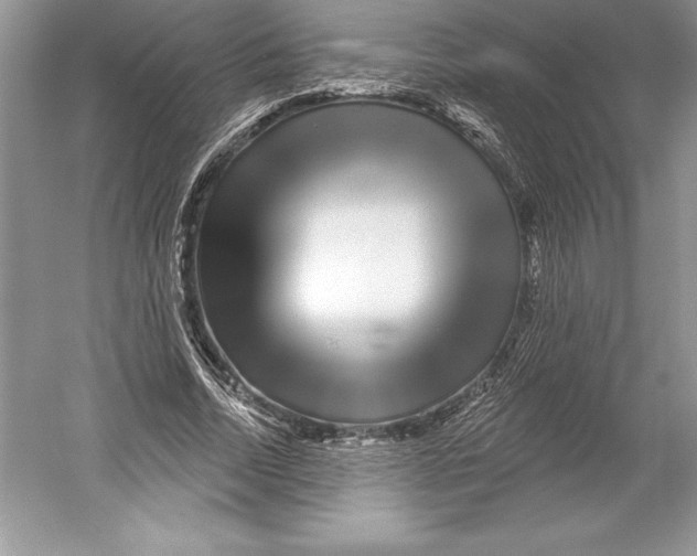 X0000052960730200508050947