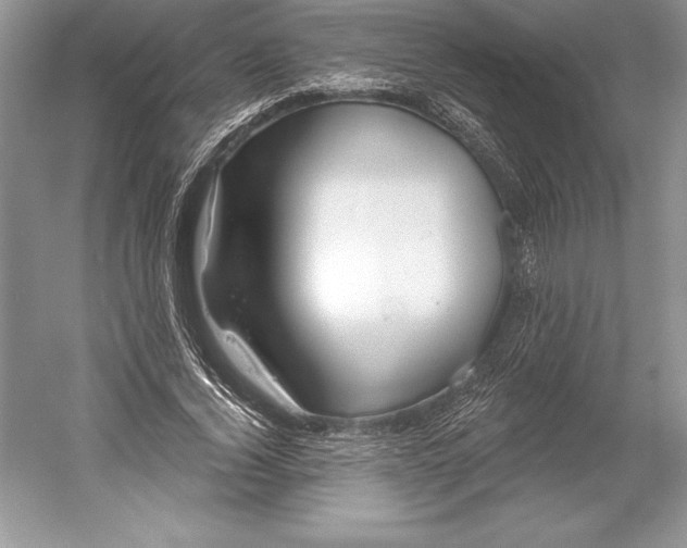 X0000052960732200508050947