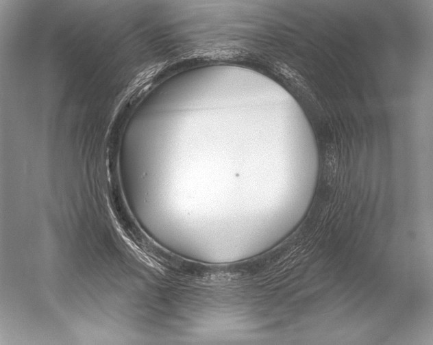 X0000052960734200508050948