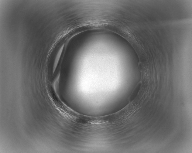 X0000052960736200508050948