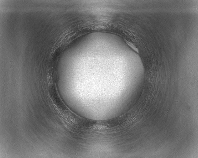 X0000052960743200508050948