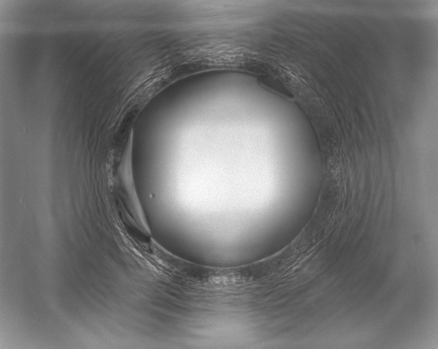 X0000052960744200508050948