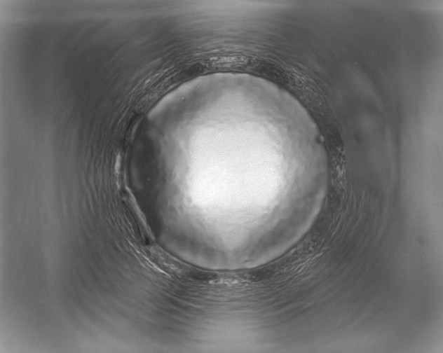 X0000052960745200508050948