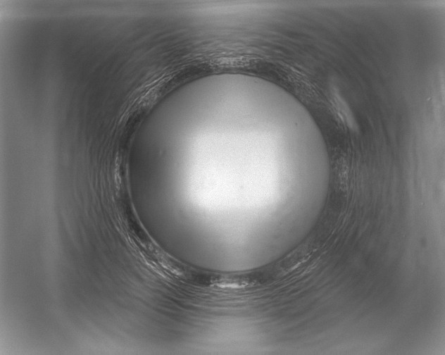 X0000052960746200508050948