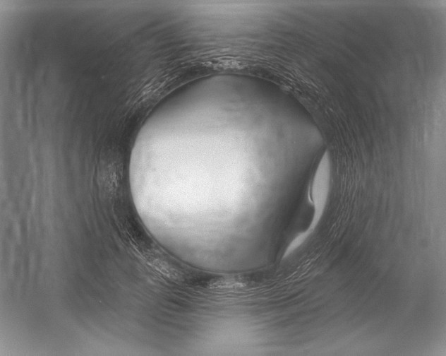 X0000052960747200508050948