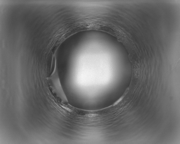 X0000052960748200508050948