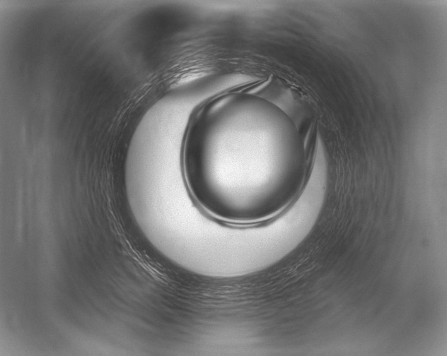 X0000052960750200508050948