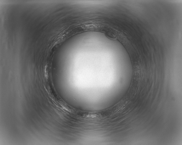 X0000052960751200508050948