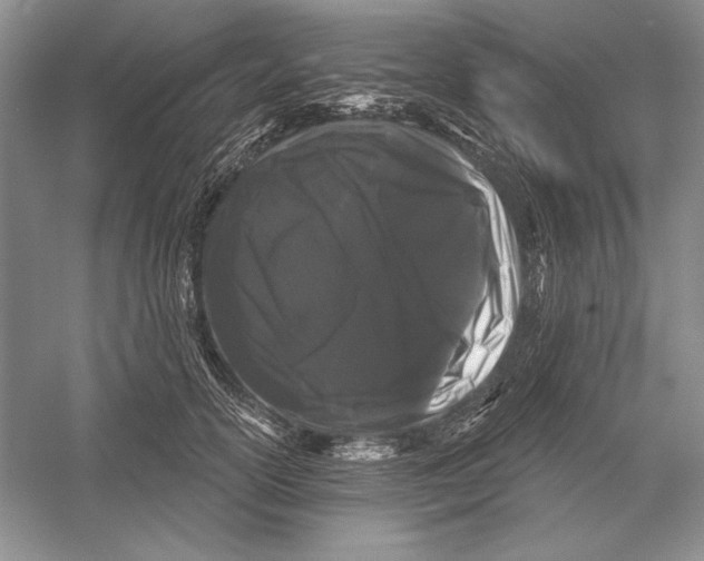X0000052960754200508050948