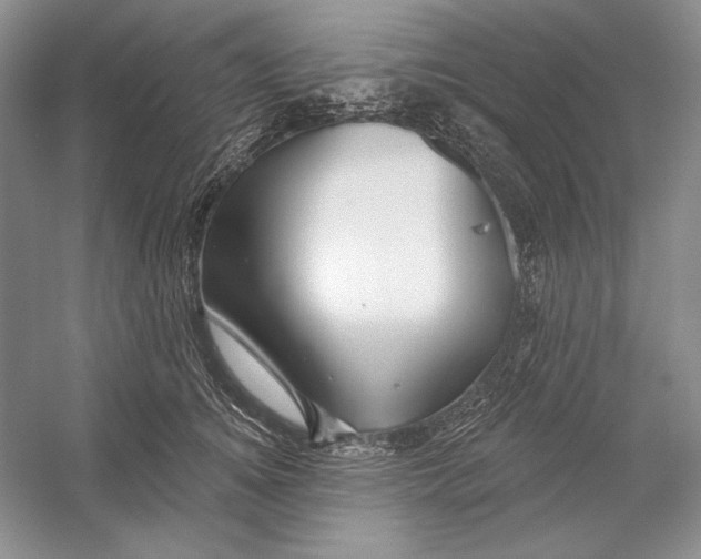X0000052960756200508050948