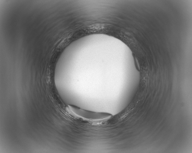 X0000052960758200508050948