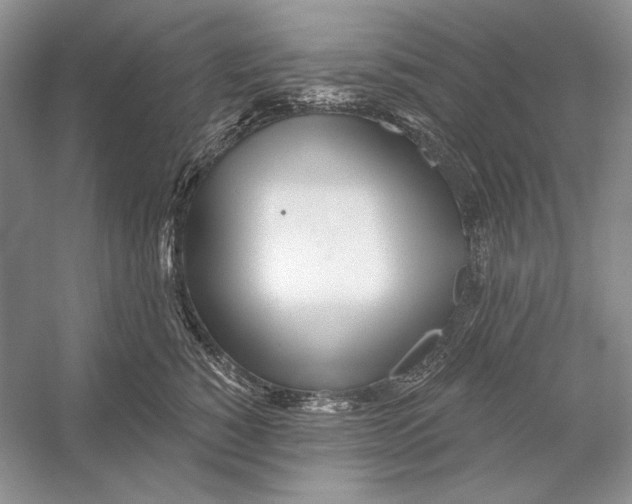 X0000052960760200508050948