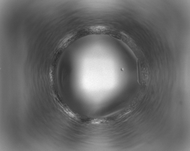 X0000052960762200508050948