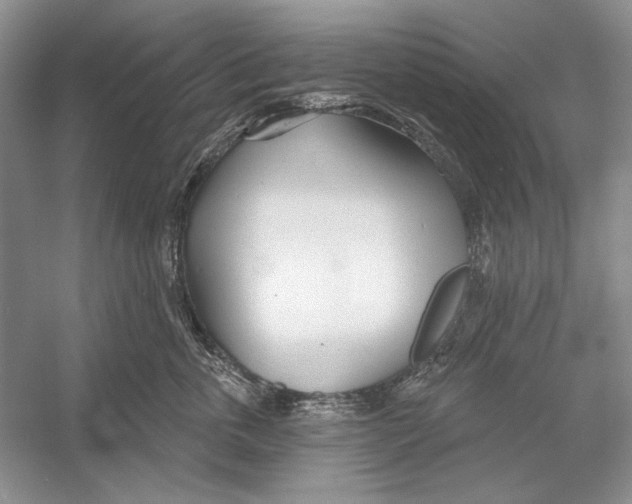 X0000052960763200508050948