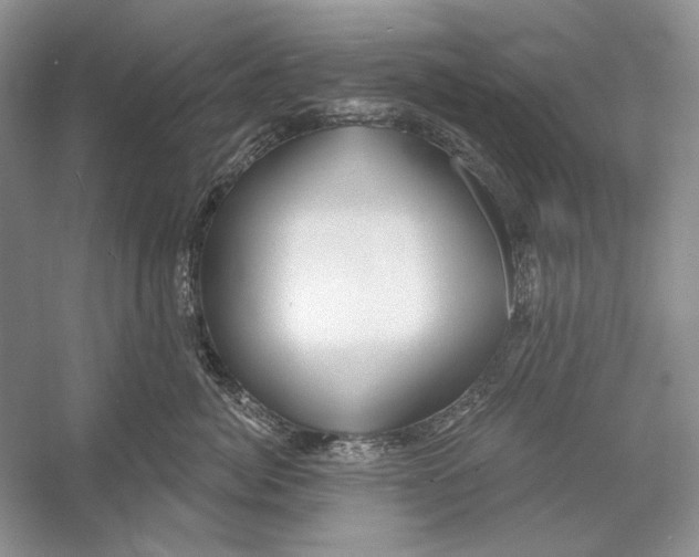 X0000052960764200508050948
