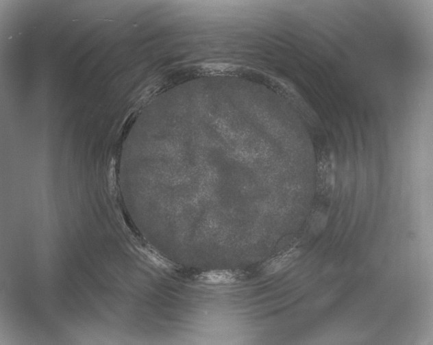 X0000052960765200508050948